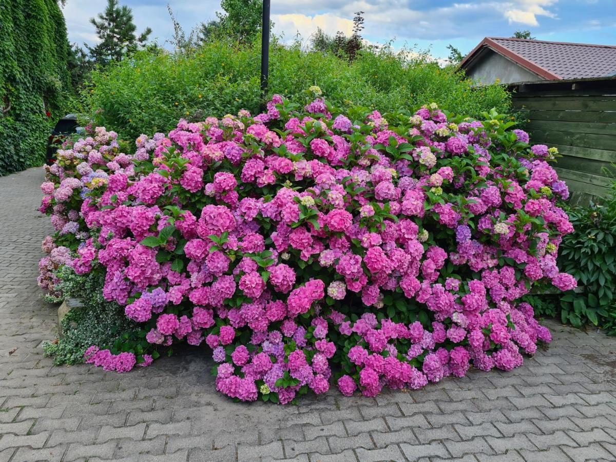 Dworek Sw.Antoniego Slawutowo Exterior photo